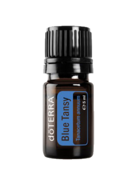Blue Tansy (Blauer Rainfarn) Tanacetum annuum   5ml. Flasche